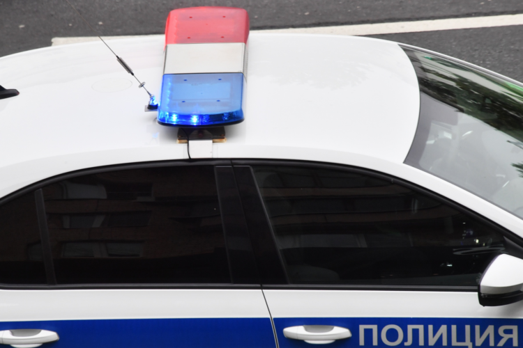 Singer Natalia Nemelyainen Killed in Crimea