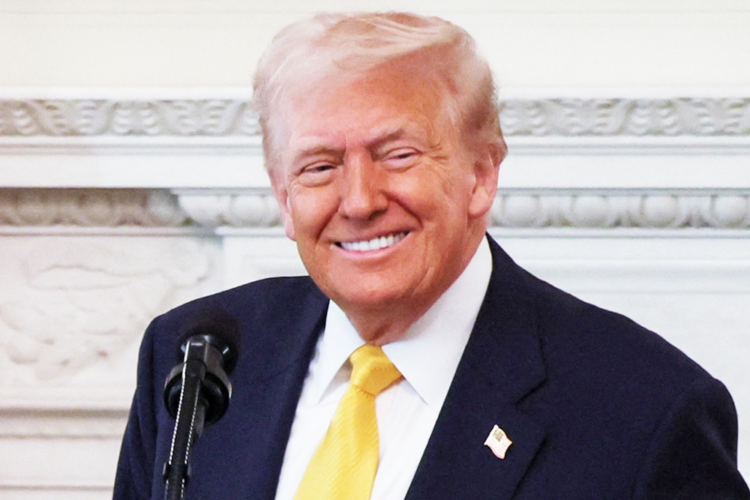 Daily Mail: Trump managed to convince Zelensky to make a deal on resources