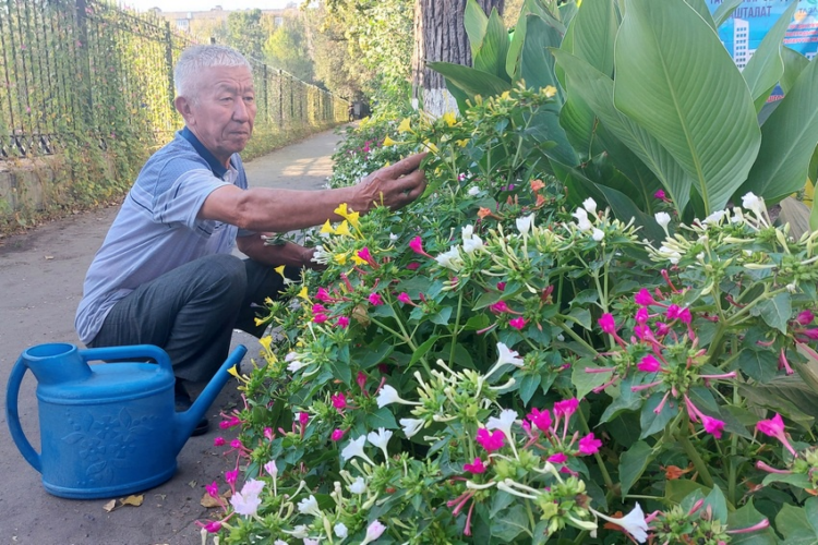 Enthusiast independently improves the capital of Kyrgyzstan